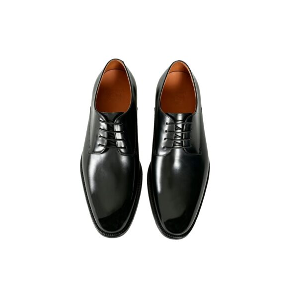 GRANDMARK classic derby men's dress shoes, top view, white background